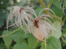 DSCN5902