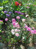 DSCN8240