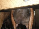 SAM_0856