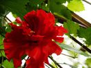 DSCN0436