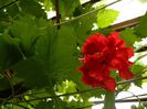 DSCN0437