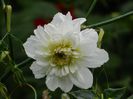 DSCN0446