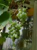 DSCN0538