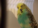 DSCN2333