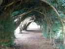 Yew Tree Tunnel, UK2