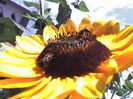 26-08-13_1436