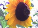 26-08-13_1437