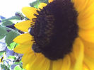26-08-13_1439