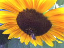 26-08-13_1446