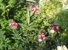 DSCN4972