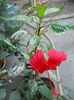 DSCN4981