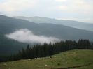 DSC00516