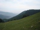 DSC00517