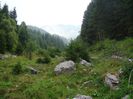 DSC00518
