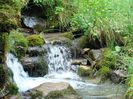 DSC00536