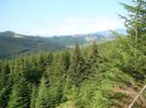DSC00539