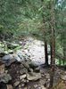 DSC00555