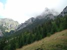DSC00556