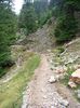 DSC00571