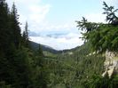 DSC00574