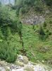 DSC00577