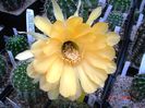 DSC01967