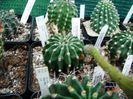 DSC01970