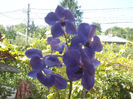 DSCN4171