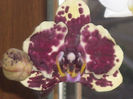 DSCN4228