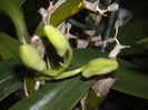 DSCN4297