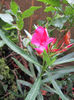 Copy (2) of IMG_1758