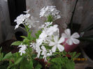 Copy of IMG_1764