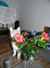 DSCN5494