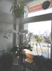 DSCN5406