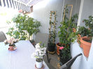 DSCN2931