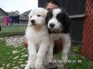 SAM_3299