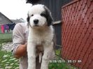 SAM_3300