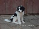 SAM_3162