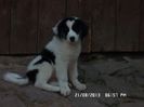 SAM_3163