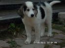 SAM_3175