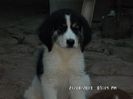 SAM_3188