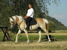 IAPA  HAFLINGER