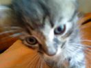 DSC00511