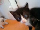 DSC00515