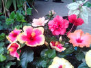 IMG_20130829_132343