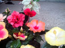IMG_20130829_132421