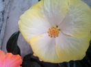 IMG_20130829_132434