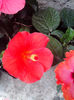 IMG_20130829_132520