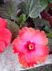 IMG_20130829_132524