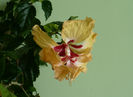 P1470614
